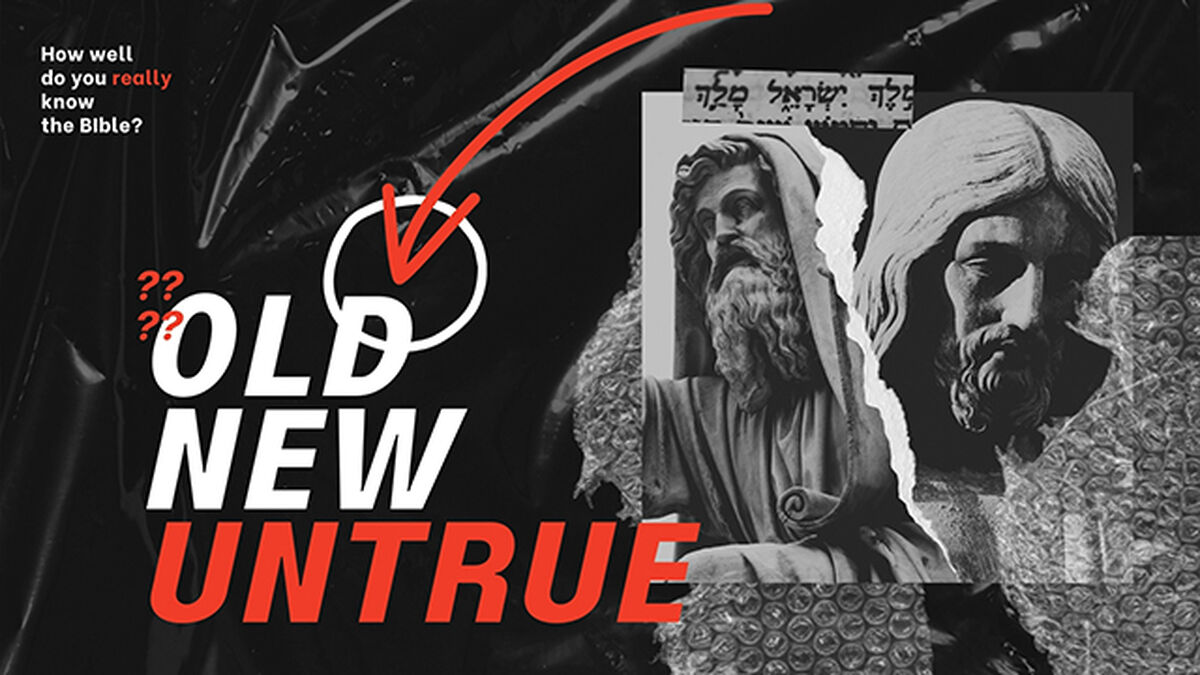 Old New or Untrue? image number null